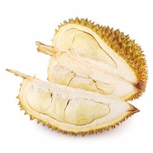 九游下载产品名称二