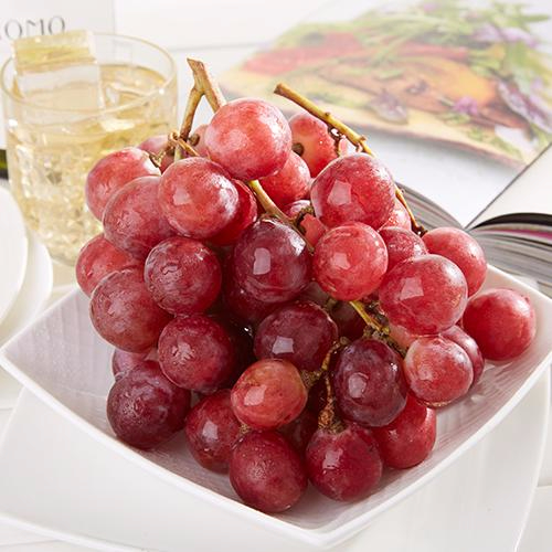 九游下载产品名称八